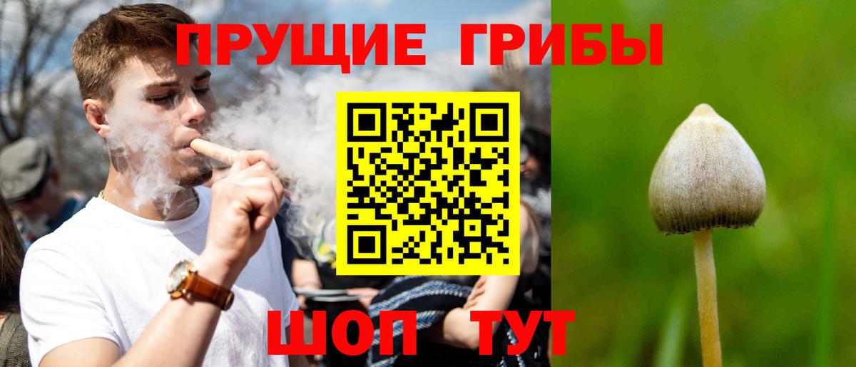 Комсомольск-на-Амуре  хочу наркоту  Вход с VPN  Псилоцибиновые грибы мухоморы 